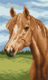 /album/konie-horses-20-x-30/a4164-png/